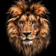 Avatar de abdelnour24000