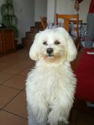 Avatar de Al421