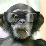 Avatar de AUTOROBERTO