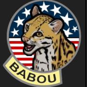 Avatar de babou63520