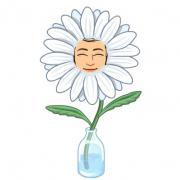 Avatar de boum54