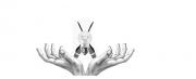 Avatar de Brams83500