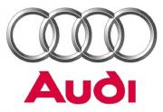 Avatar de bruno tranauto