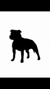 Avatar de businezs