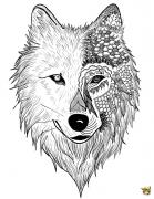 Avatar de CarpE__DieM