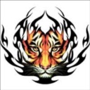 Avatar de cheitan