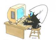 Avatar de cuistots