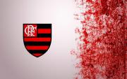 Avatar de digofloripa