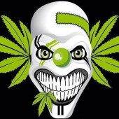 Avatar de dody764