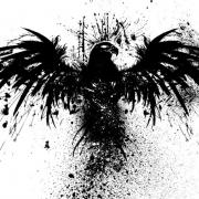 Avatar de doufani
