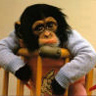 Avatar de elninocap