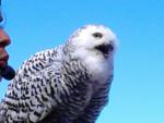 Avatar de estac
