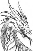 Avatar de fox03