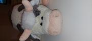 Avatar de gelosony