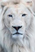 Avatar de gero62