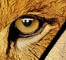 Avatar de Gregoose69