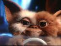 Avatar de gs.gal@hotmail.fr