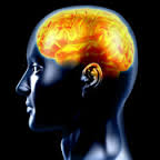 Avatar de hamid el