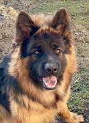 Avatar de ionitagelu