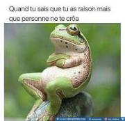 Avatar de issam99