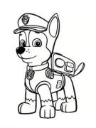 Avatar de jipcaro