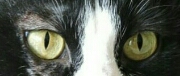 Avatar de JOHNNY74
