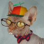 Avatar de kevingouve