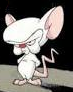 Avatar de kortex
