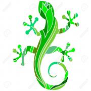 Avatar de lezardvert
