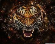 Avatar de lgaek