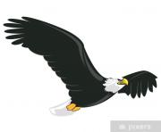 Avatar de Litllebird31