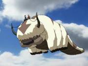 Avatar de malikrojoob