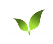 Avatar de metacortex