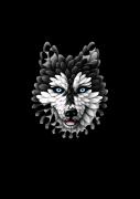 Avatar de Mounirou