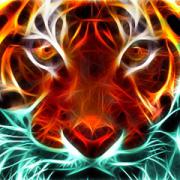 Avatar de mouss451