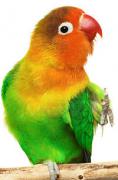 Avatar de mouybrahim