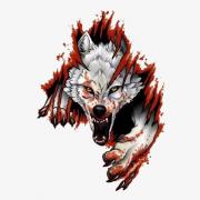 Avatar de my car alfa