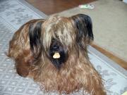 Avatar de patg83