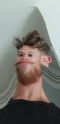 Avatar de Paulb84210