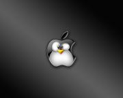 Avatar de Phane56