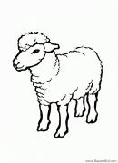 Avatar de piero2224