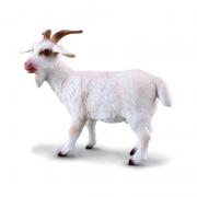Avatar de pikasiak