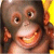 Avatar de plex