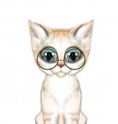 Avatar de PsaTuner