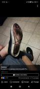 Avatar de quimerics