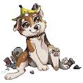 Avatar de raychev