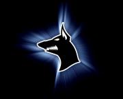 Avatar de rems02