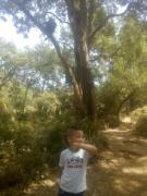 Avatar de rouabhi rachid