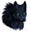 Avatar de Sarroura