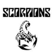 Avatar de ScorpionDelphinu